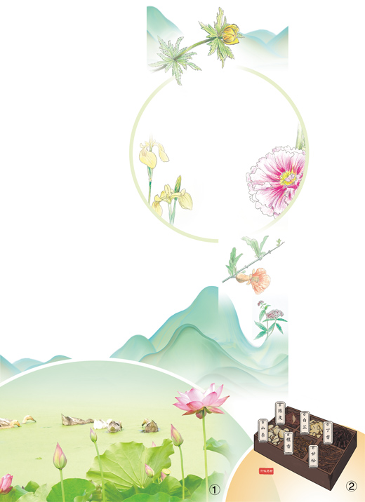 沅有芷兮澧有蘭端午時節(jié)草木深