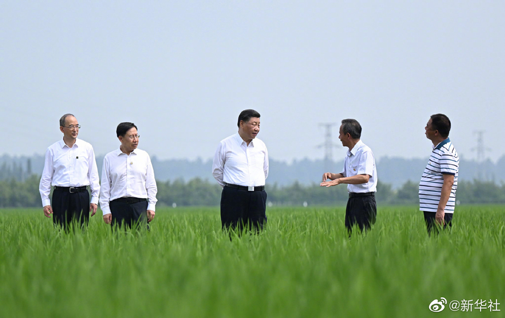 習近平在四川眉山市考察調(diào)研