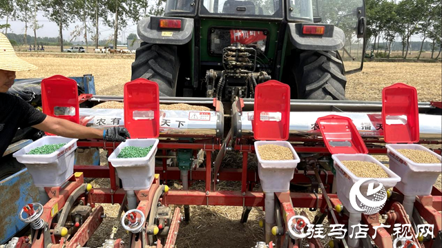 噸源種業(yè)：開(kāi)展大豆玉米帶狀復(fù)播種植 助力農(nóng)業(yè)提質(zhì)增效