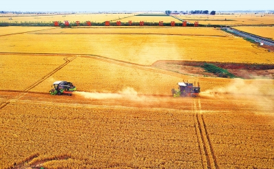 農(nóng)業(yè)農(nóng)村部：我國(guó)夏糧主產(chǎn)區(qū)收獲小麥近八成