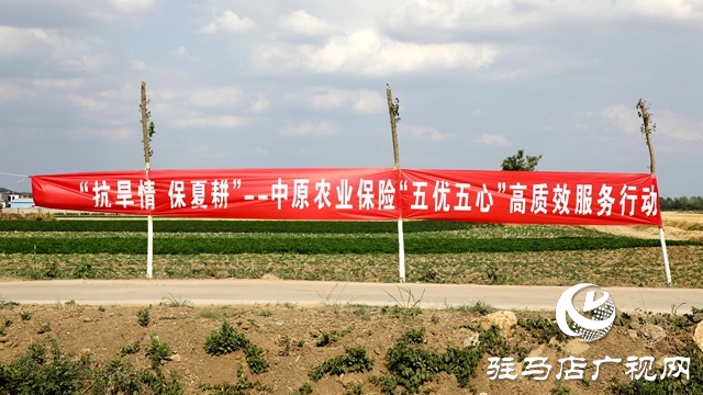 23套抗旱設(shè)備！這家公司向泰山廟鎮(zhèn)捐贈“及時雨”