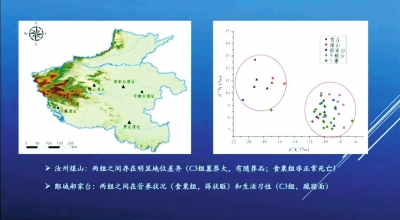 夏朝人種什么、吃什么、得什么??？ 夏文化論壇揭示4000年前的居民身體狀況