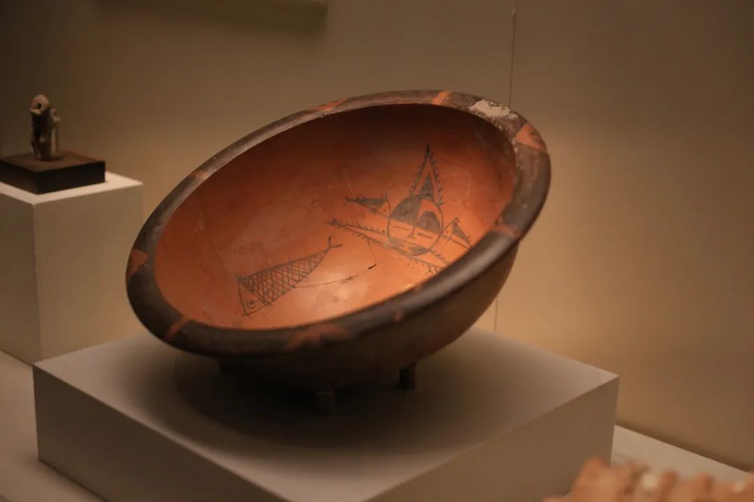 “中國(guó)”從哪里來(lái)？