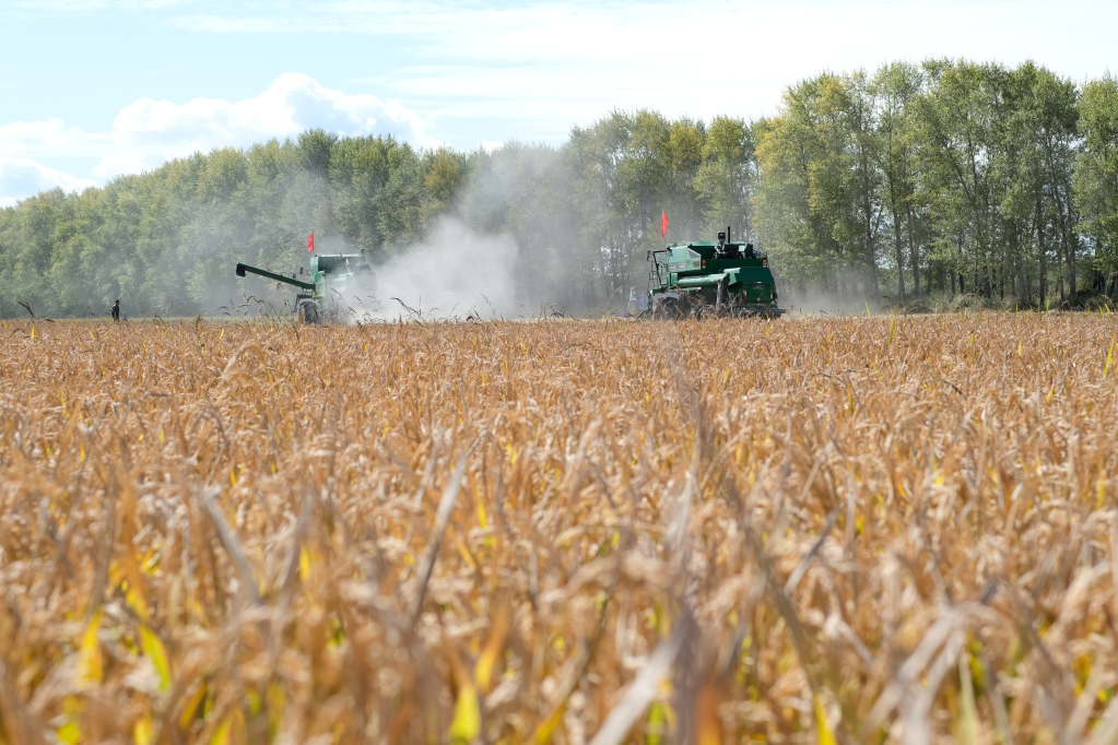 黑龍江多措并舉保護“耕地中的大熊貓”