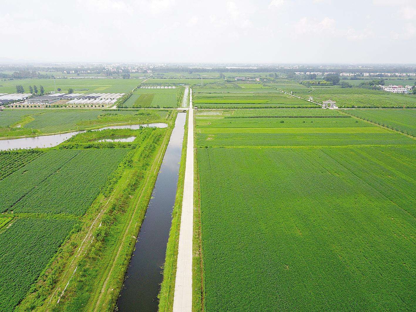 扎實推進 兩穩(wěn)一保 高速建設(shè)看河南丨修高速“造”出高標準農(nóng)田2200多畝