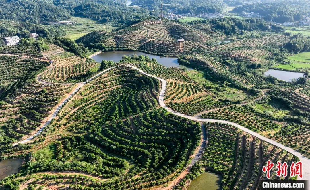 陳來(lái)：中國(guó)文化為何能為生態(tài)文明提供理念基礎(chǔ)？