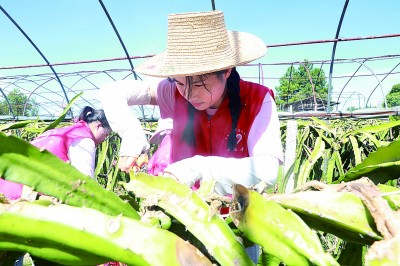 今年首個(gè)高溫紅色預(yù)警發(fā)布——四問(wèn)今夏超強(qiáng)高溫天氣