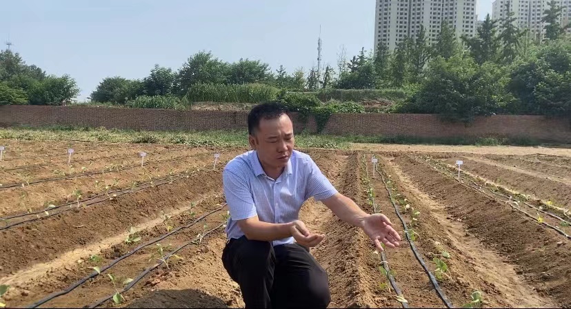 處暑話農(nóng)耕：處暑至 秋意涼 準備好和夏天說再見了嗎？