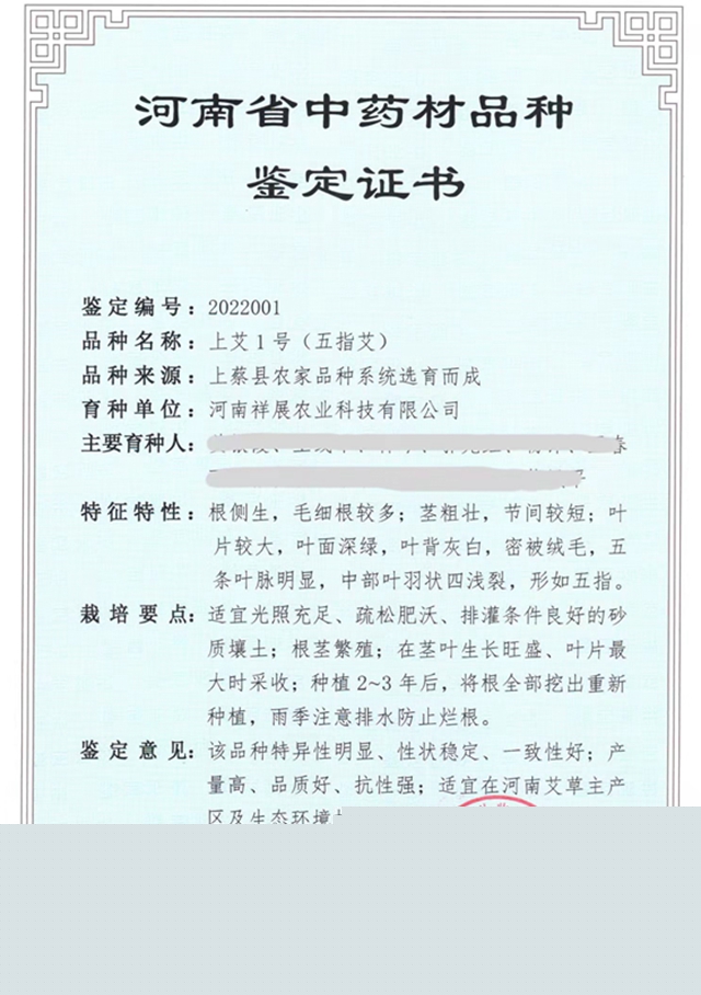 上蔡縣：艾草之花開出“雙喜臨門”