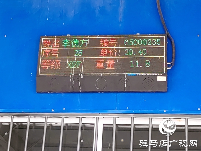 郭集煙站今日開磅