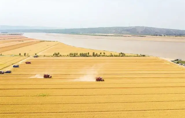 努力打贏秋糧豐收保衛(wèi)戰(zhàn)——相關(guān)部門(mén)和地區(qū)加強(qiáng)抗旱防災(zāi)舉措奪秋糧豐收