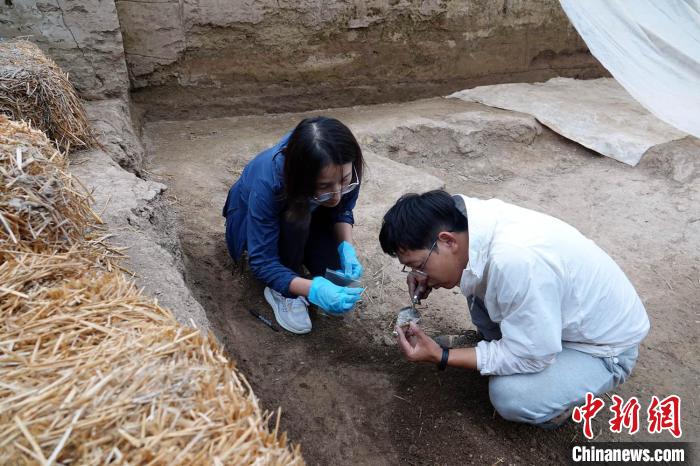 探訪仰韶晚期南佐遺址：考古發(fā)掘研究還有多少待解之謎？
