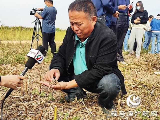 2022年芝麻機(jī)械化收割現(xiàn)場會(huì)在駐馬店成功召開