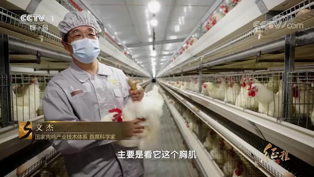 大型紀(jì)錄片《征程》｜第六集 糧豐安天下
