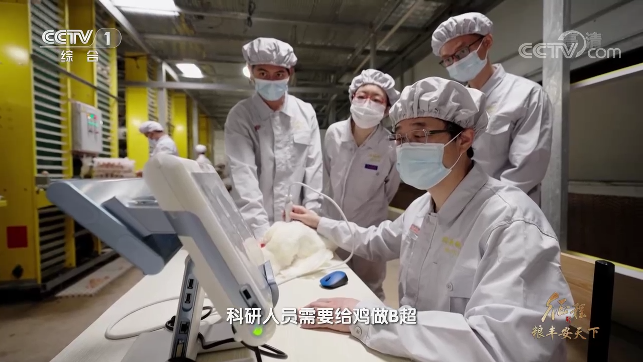 大型紀(jì)錄片《征程》｜第六集 糧豐安天下