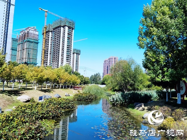 駐馬店：一葉知秋 彩葉觀賞正當時