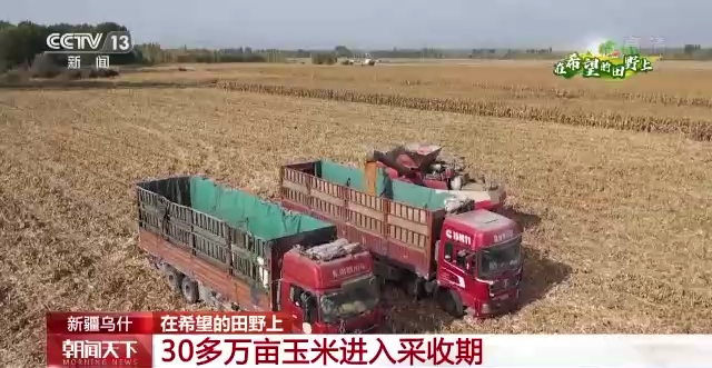 “三秋”生產(chǎn)關(guān)鍵期，各地加速推進(jìn)秋收工作