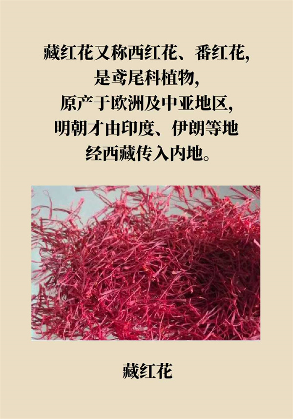泡腳真能養(yǎng)生？專家：對(duì)癥才是關(guān)鍵