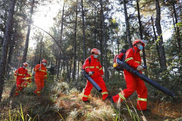 河南進入防火緊要期 全省63個重點林區(qū)實施“空、天、地”一體化全天候監(jiān)測