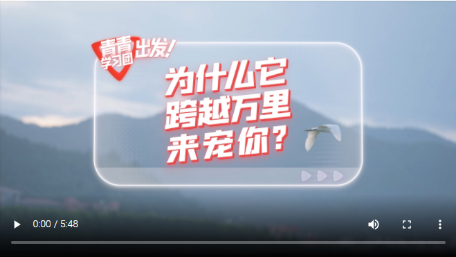 探尋中國式現(xiàn)代化之路丨為什么它跨越萬里來寵你？