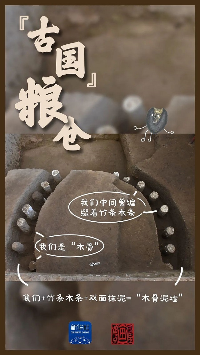 這里，有考古新發(fā)現(xiàn)！