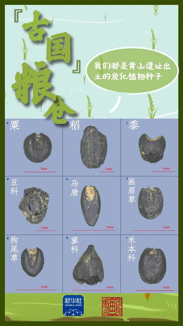 這里，有考古新發(fā)現(xiàn)！