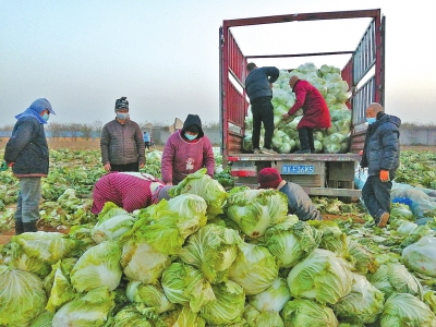 這家愛心企業(yè)“豪爽”助農(nóng)：“車上能裝多少就裝多少！”