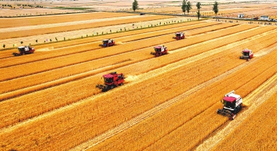 再次邁上1350億斤臺階——2022年河南糧食總產(chǎn)量1357.87億斤