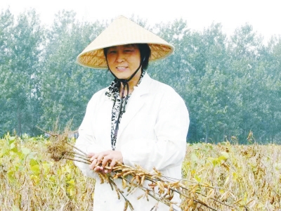 努力提升大豆產(chǎn)量 她扎根田間地頭32年，育成良種27個