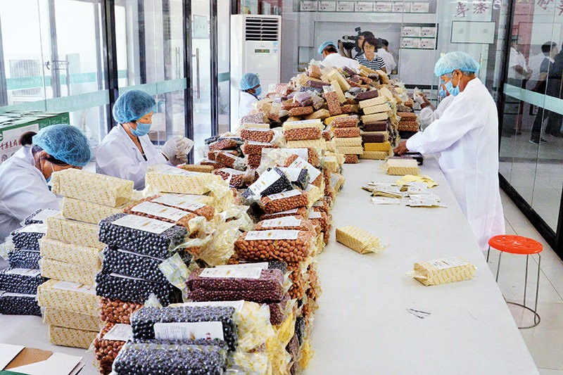 鄉(xiāng)村振興看河南丨與粵港澳大灣區(qū)“菜籃子”簽訂合同 沈丘這個村發(fā)展訂單農(nóng)業(yè)走上致富路