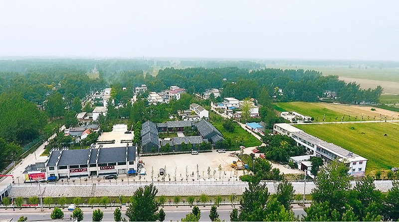 鄉(xiāng)村振興看河南丨與粵港澳大灣區(qū)“菜籃子”簽訂合同 沈丘這個村發(fā)展訂單農(nóng)業(yè)走上致富路