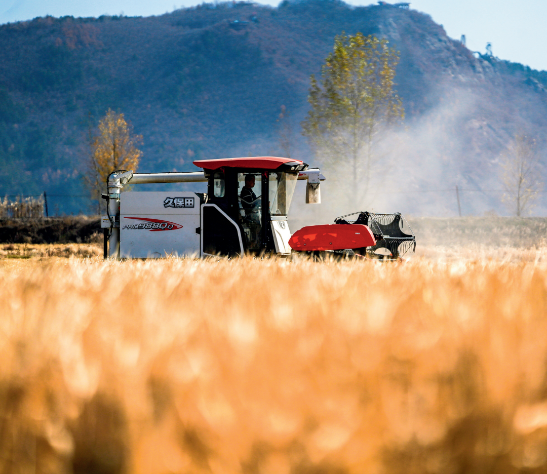  瞭望·治國理政紀(jì)事丨爭當(dāng)現(xiàn)代農(nóng)業(yè)排頭兵