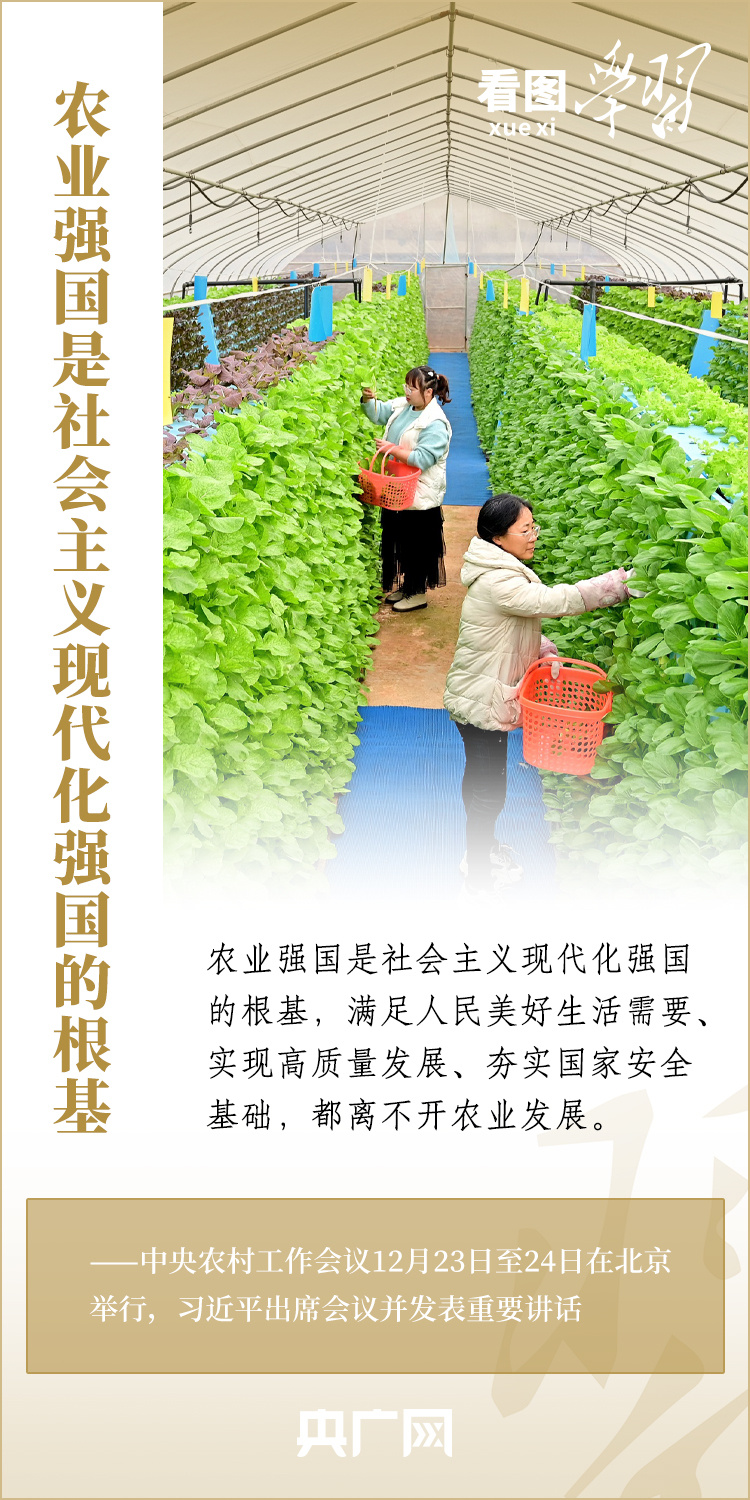 看圖學習丨強國必先強農 農強方能國強