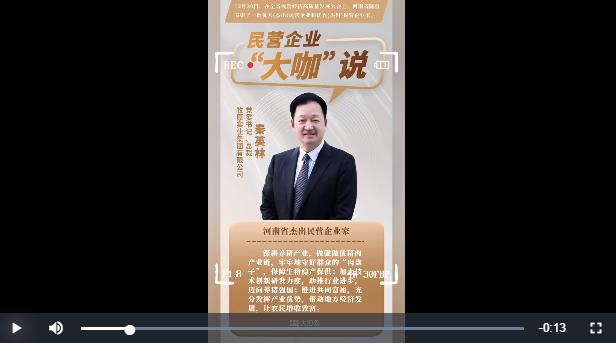 ?民營企業(yè)“大咖”說