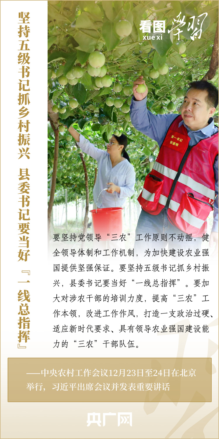 看圖學習丨強國必先強農 農強方能國強