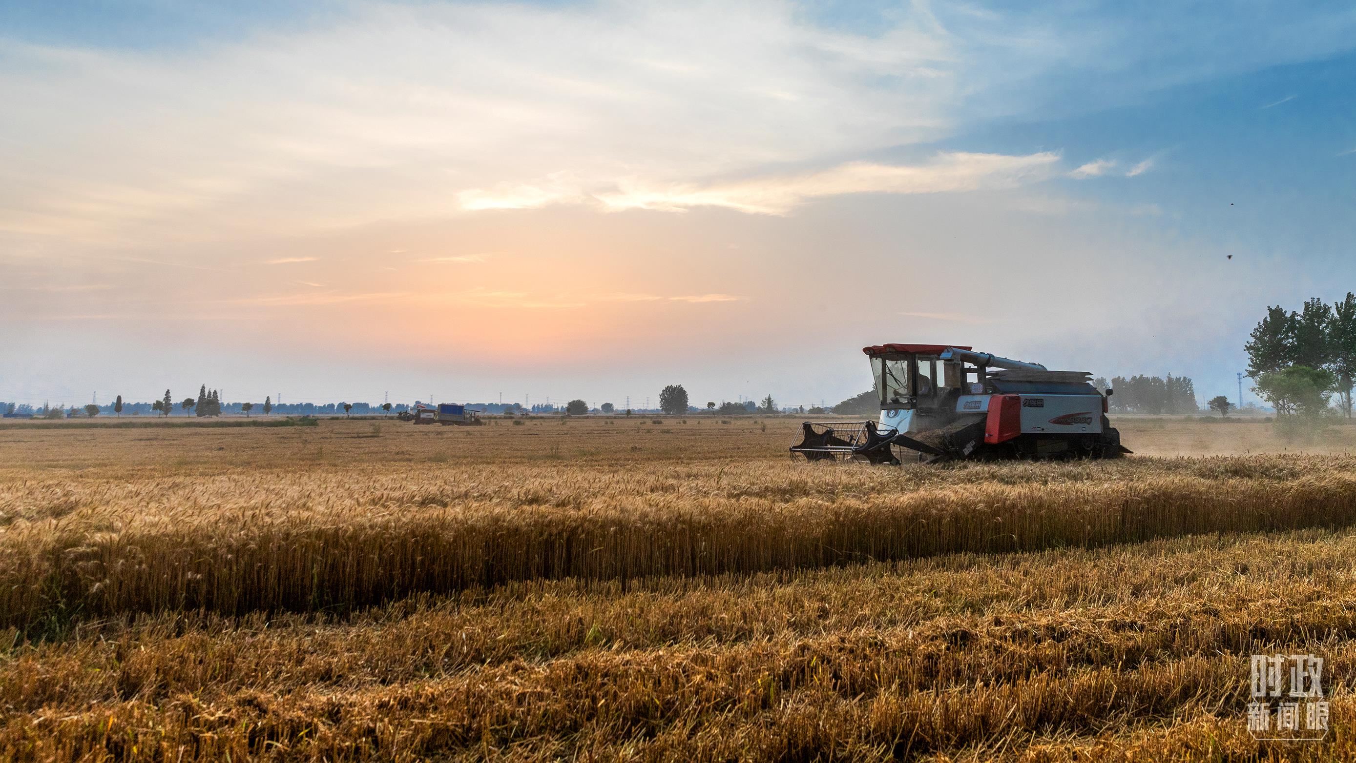 時政新聞眼丨在中央農(nóng)村工作會議上，習(xí)近平這樣部署建設(shè)農(nóng)業(yè)強(qiáng)國