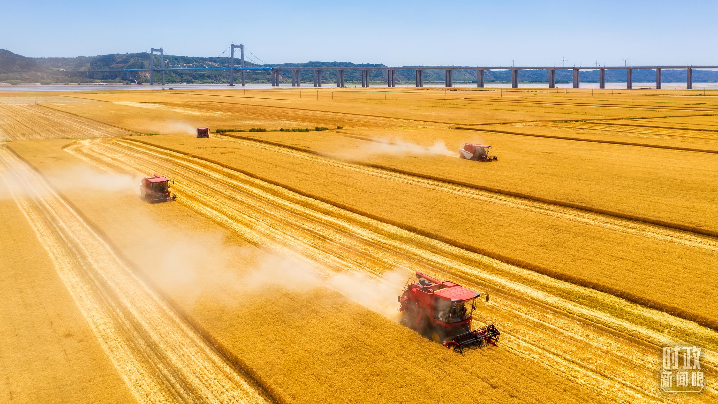 時政新聞眼丨在中央農(nóng)村工作會議上，習(xí)近平這樣部署建設(shè)農(nóng)業(yè)強(qiáng)國