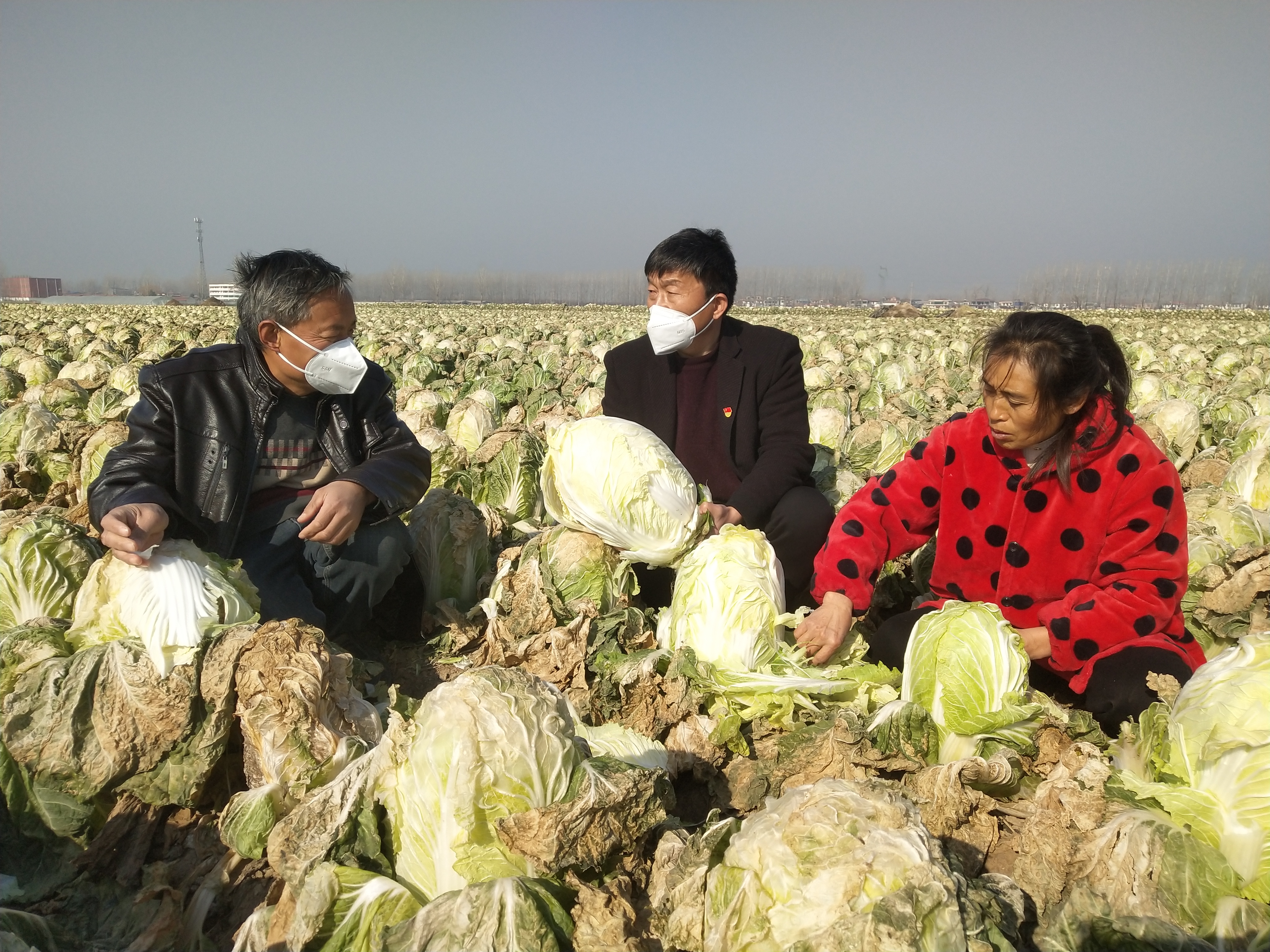 政府搭橋解民憂