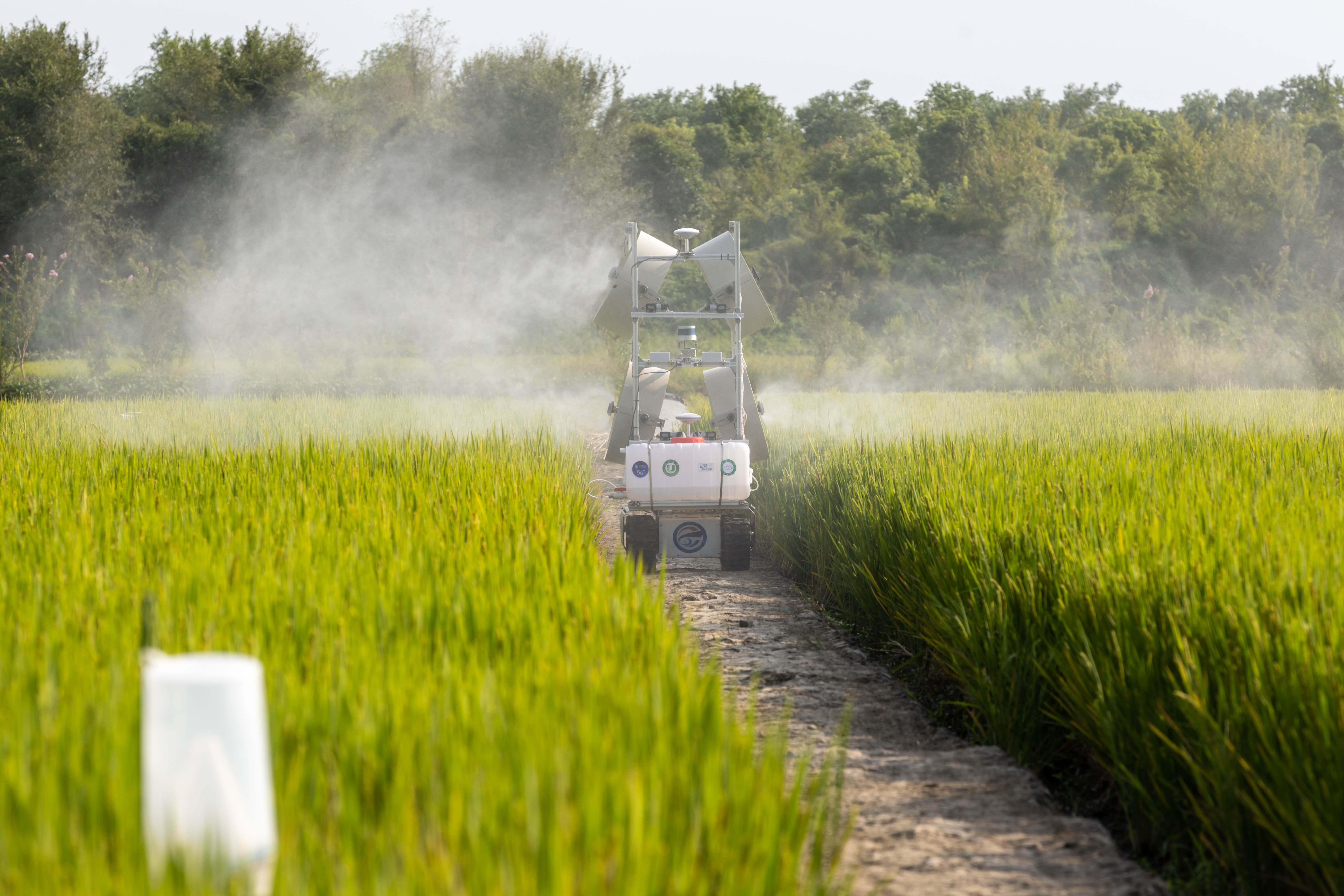為加快建設(shè)農(nóng)業(yè)強(qiáng)國而努力奮斗——從中央農(nóng)村工作會議看新時代新征程“三農(nóng)”工作戰(zhàn)略部署