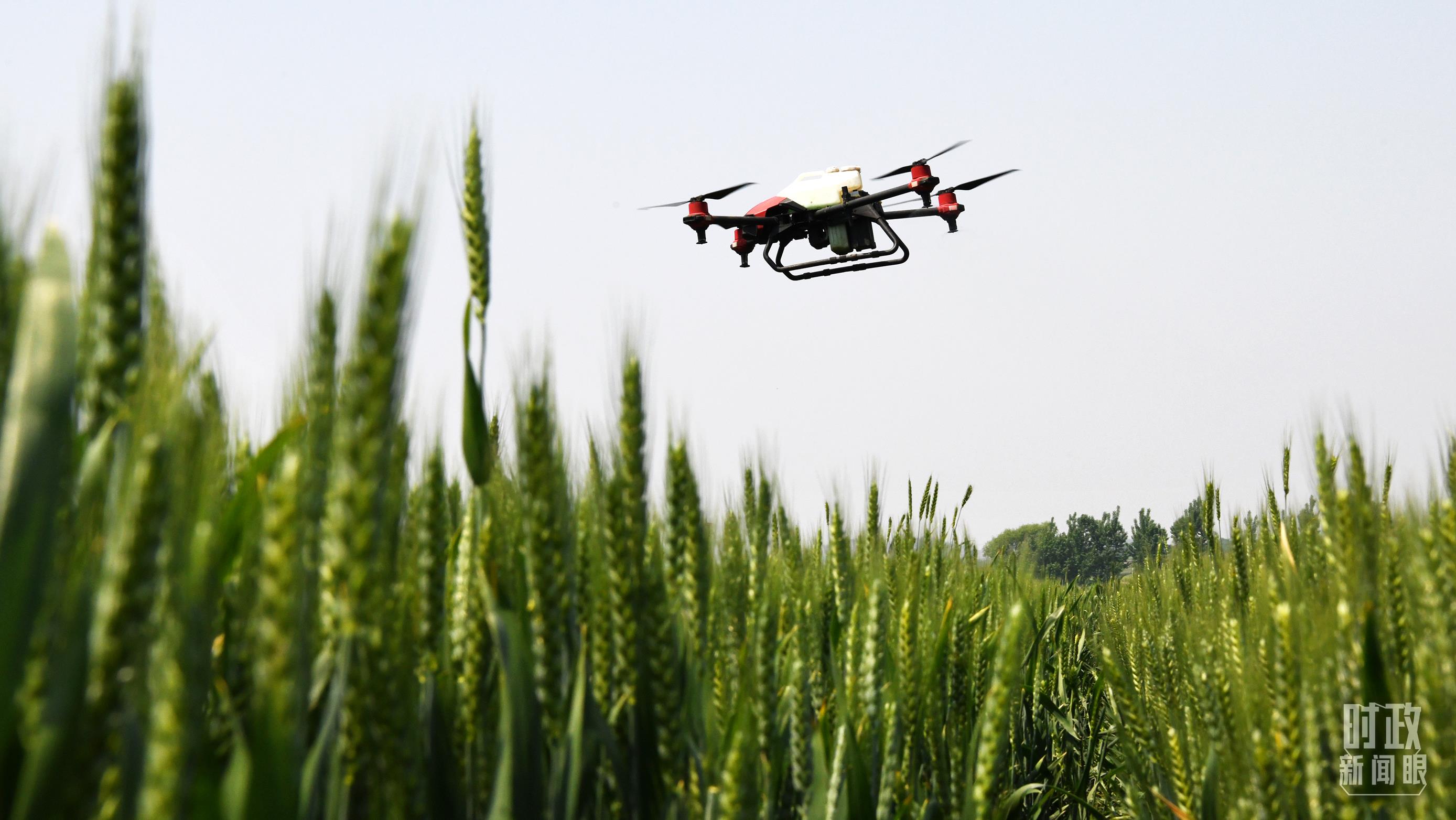 時政新聞眼丨在中央農(nóng)村工作會議上，習(xí)近平這樣部署建設(shè)農(nóng)業(yè)強(qiáng)國