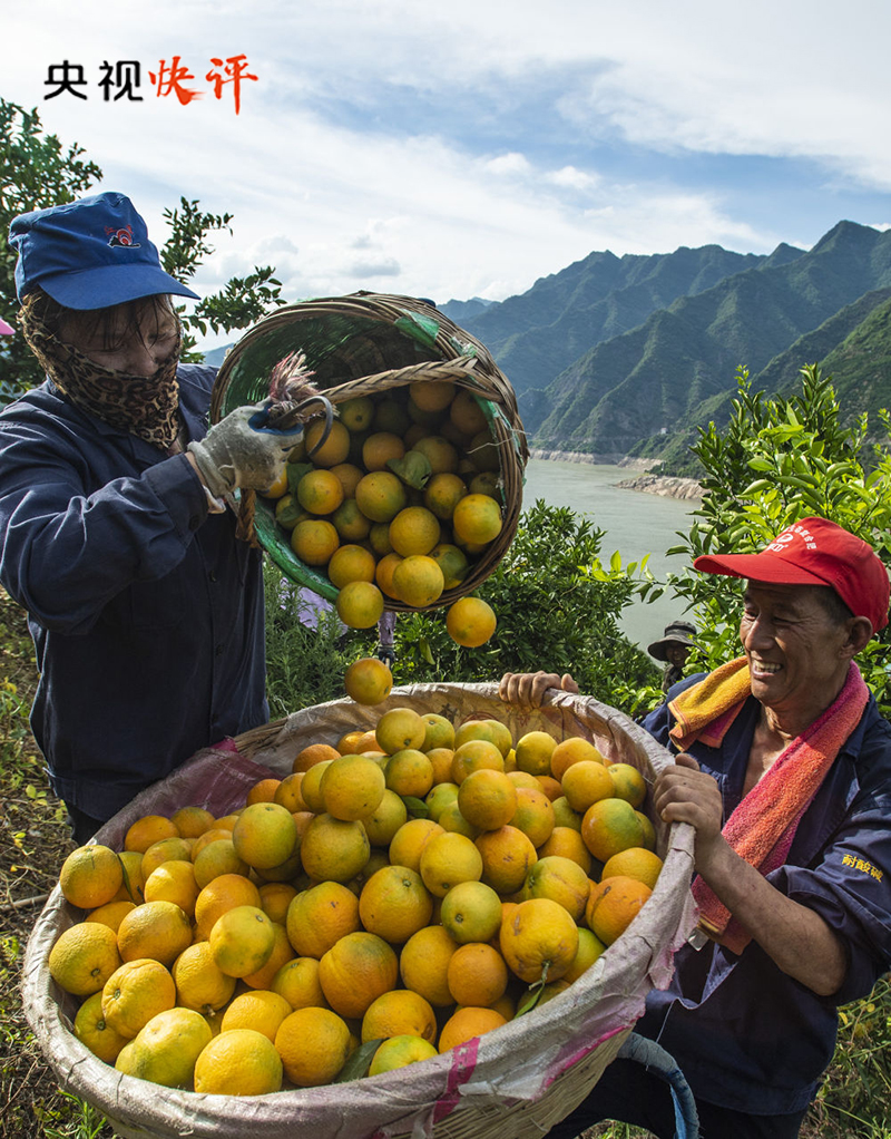 【央視快評(píng)】全面推進(jìn)鄉(xiāng)村振興 加快建設(shè)農(nóng)業(yè)強(qiáng)國
