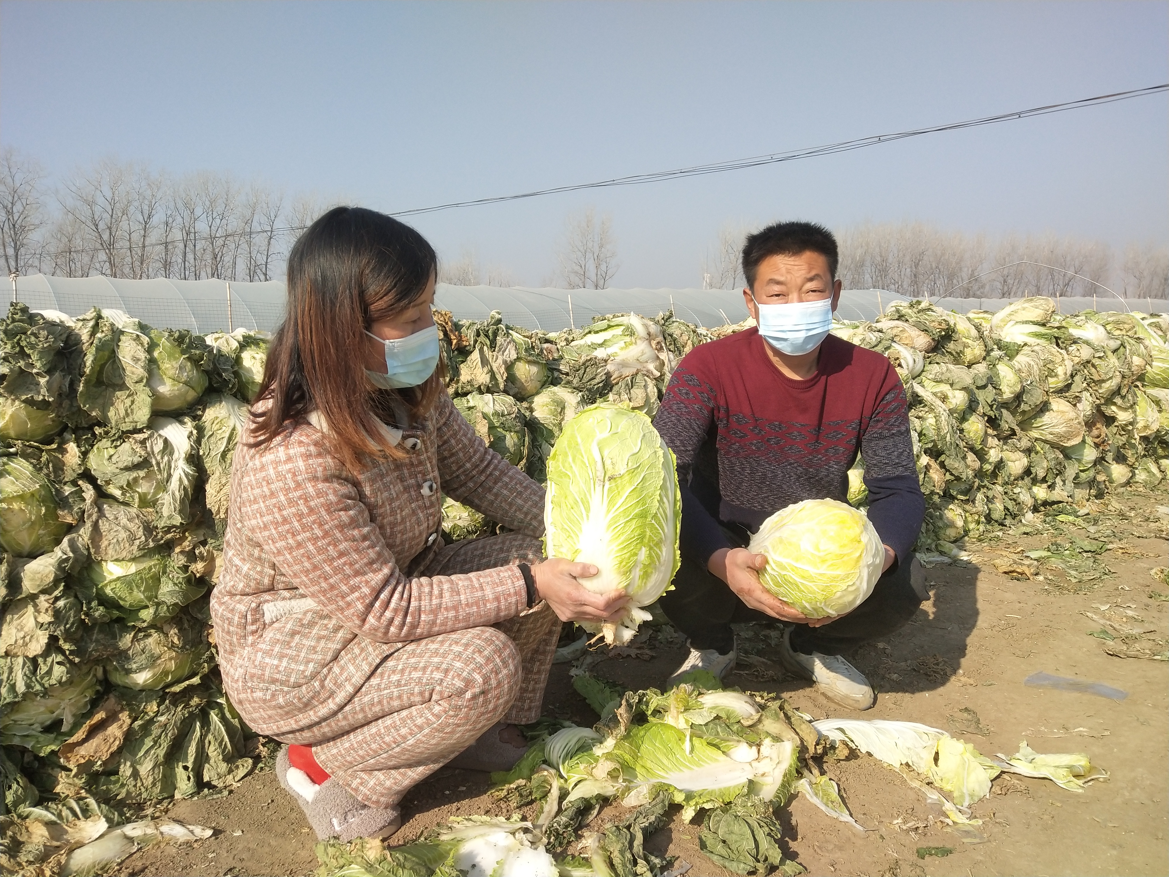 政府搭橋解民憂