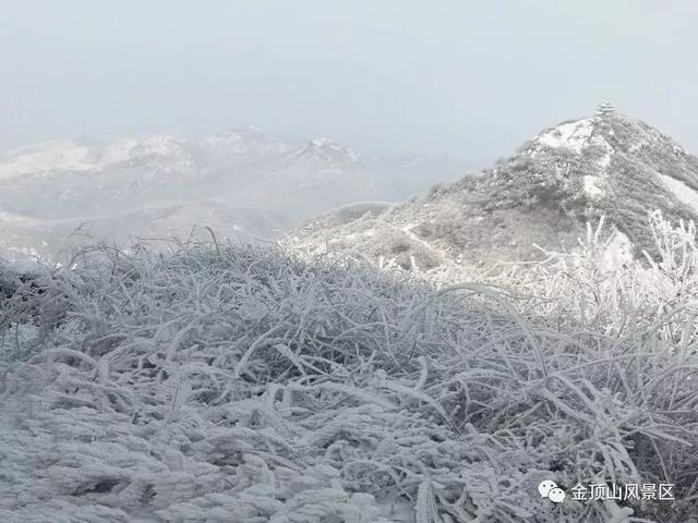 「金頂●冬雪」忽如一夜春風(fēng)來，千樹萬樹梨花開