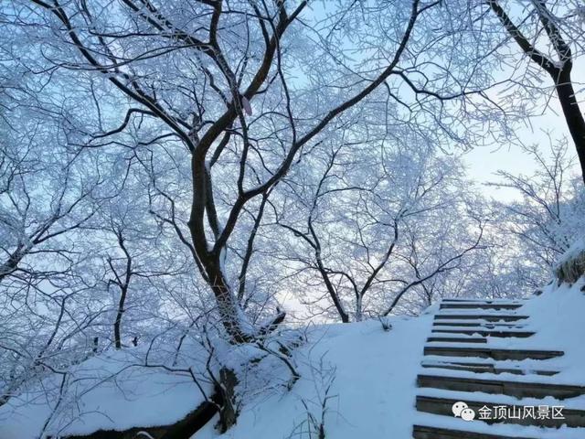 「金頂●冬雪」忽如一夜春風(fēng)來，千樹萬樹梨花開