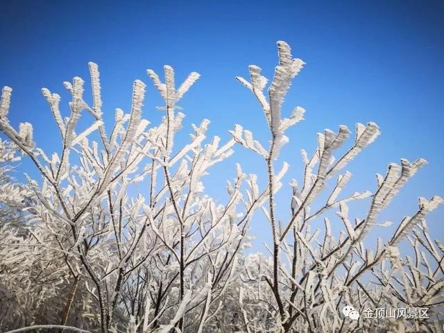 「金頂●冬雪」忽如一夜春風(fēng)來，千樹萬樹梨花開
