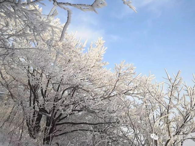 「金頂●冬雪」忽如一夜春風(fēng)來，千樹萬樹梨花開