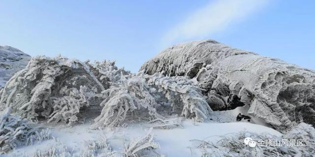 「金頂●冬雪」忽如一夜春風(fēng)來，千樹萬樹梨花開