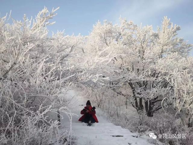 「金頂●冬雪」忽如一夜春風(fēng)來，千樹萬樹梨花開