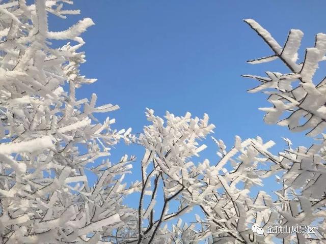 「金頂●冬雪」忽如一夜春風(fēng)來，千樹萬樹梨花開