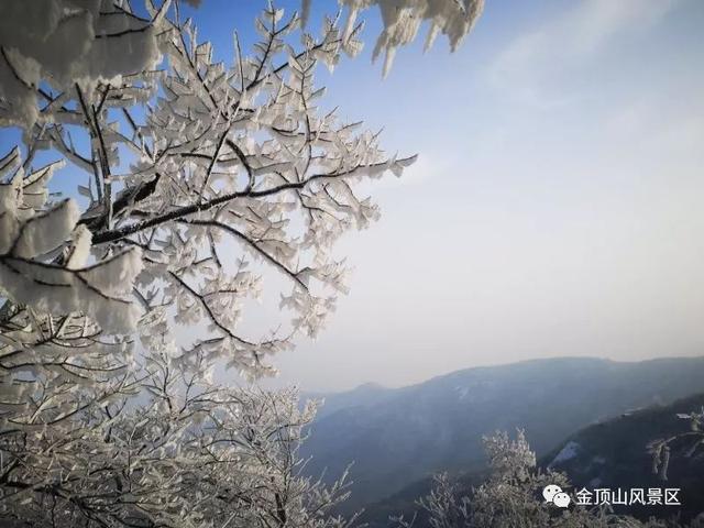 「金頂●冬雪」忽如一夜春風(fēng)來，千樹萬樹梨花開